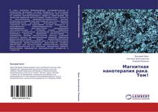 Магнитная нанотерапия рака. Том1的封面
