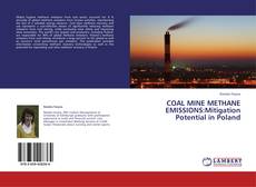 Copertina di COAL MINE METHANE EMISSIONS:Mitigation Potential in Poland