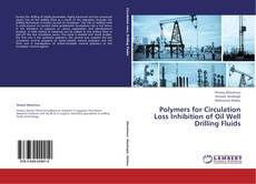 Copertina di Polymers for Circulation Loss Inhibition of Oil Well Drilling Fluids