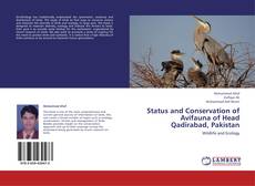 Buchcover von Status and Conservation of Avifauna of Head Qadirabad, Pakistan
