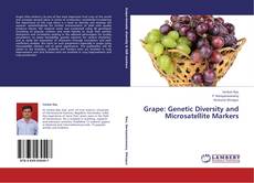 Buchcover von Grape: Genetic Diversity and Microsatellite Markers