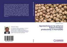 Copertina di Agrotechniques to enhance Kabuli Chickpea productivity in Karnataka