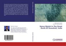 Buchcover von Heavy Metals In The Street Dusts Of Guwahati, India