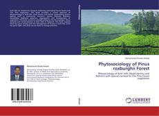 Phytosociology of Pinus roxburghii Forest kitap kapağı