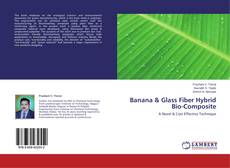 Banana & Glass Fiber Hybrid Bio-Composite的封面