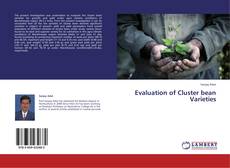 Buchcover von Evaluation of Cluster bean Varieties