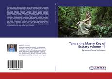 Copertina di Tantra the Master Key of Ecstasy volume - 4