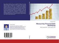 Measuring Financial Risk Modelling的封面