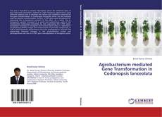 Portada del libro de Agrobacterium mediated Gene Transformation in Codonopsis lanceolata