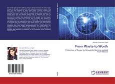 Buchcover von From Waste to Worth