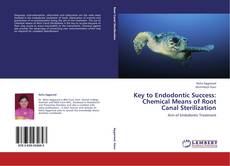Portada del libro de Key to Endodontic Success: Chemical Means of Root Canal Sterilization