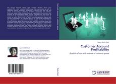 Buchcover von Customer Account Profitability