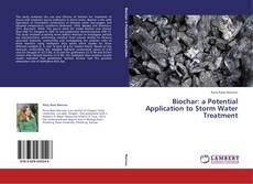 Biochar: a Potential Application to Storm Water Treatment kitap kapağı