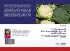 Buchcover von Fertilization and Phytochemicals in Broccoli and Cauliflower