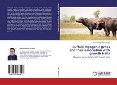 Buchcover von Buffalo myogenic genes and their association with growth traits