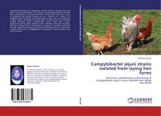 Bookcover of Campylobacter jejuni strains isolated from laying hen farms