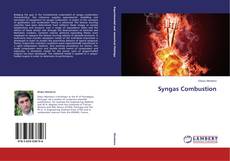 Copertina di Syngas Combustion