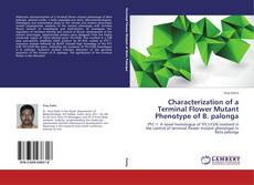 Couverture de Characterization of a Terminal Flower Mutant Phenotype of B. palonga