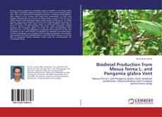Buchcover von Biodiesel Production from Mesua ferrea L. and Pongamia glabra Vent