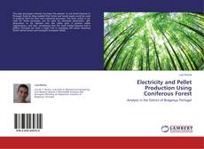 Copertina di Electricity and Pellet Production Using Coniferous Forest