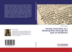 Copertina di Private universities as a Working Place through the Eyes of Academics
