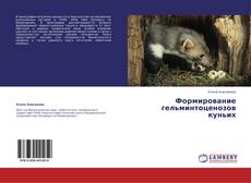 Bookcover of Формирование гельминтоценозов куньих