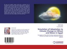 Simulation of Adaptation to Climate Change on Wheat and Maize in Egypt kitap kapağı