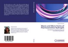 Copertina di Macro and Micro Forms of Thermosensitive Hydrogels