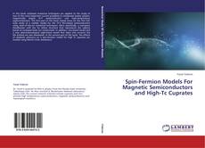 Capa do livro de Spin-Fermion Models For Magnetic Semiconductors and High-Tc Cuprates 