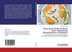 Bookcover of From Brain Drain to Brain Gain: Harnessing Zimbabweans in Diaspora