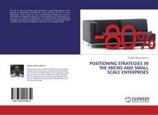 Couverture de Positioning strategies in the micro and small scale enterprises