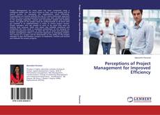 Perceptions of Project Management for Improved Efficiency kitap kapağı