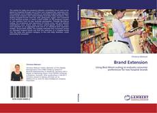 Brand Extension的封面