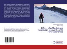 Portada del libro de Effects of A Mindfulness Meditation Intervention On Flow Experiences