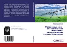 Couverture de Организационно-экономические механизмы стимулирования энергосбережения