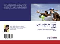 Copertina di Factors Affecting Labour Productivity in Industrial Sector