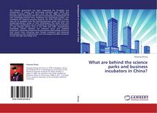 Buchcover von What are behind the science parks and business incubators in China?