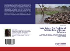 Couverture de Lake Katwe, The Traditional Salt Gardens of Katwe-Kabatoro