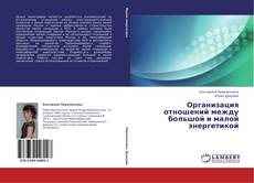 Copertina di Организация отношений между большой и малой энергетикой