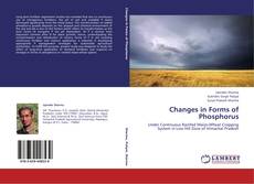 Copertina di Changes in Forms of Phosphorus