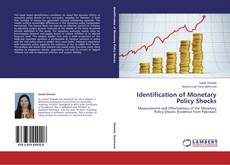 Capa do livro de Identification of Monetary Policy Shocks 