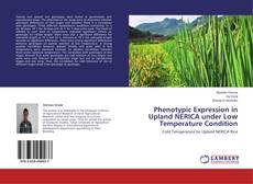 Capa do livro de Phenotypic Expression in Upland NERICA under Low Temperature Condition 
