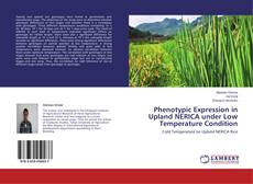 Couverture de Phenotypic Expression in Upland NERICA under Low Temperature Condition