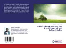 Bookcover of Understanding Equality and Social-Economic and Cultural Rights