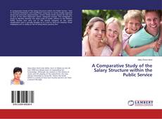 Copertina di A Comparative Study of the Salary Structure within the Public Service