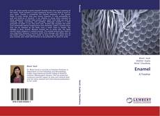 Enamel的封面