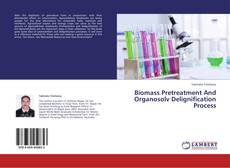 Buchcover von Biomass Pretreatment And Organosolv Delignification Process