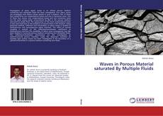 Capa do livro de Waves in Porous Material saturated By Multiple Fluids 