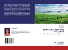 Couverture de Hydraulic Performance Evaluation