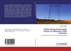 Portada del libro de Determining Permissible Values of Magnetic Field Intensity
